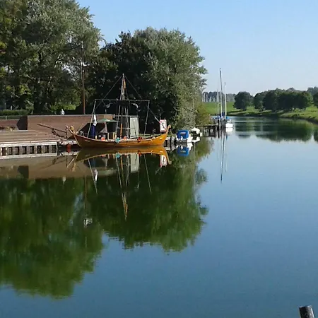 Goldblume Nordsee * Hooksiel