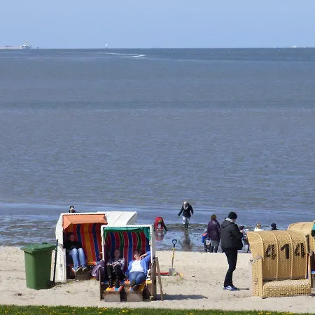 Goldblume Nordsee