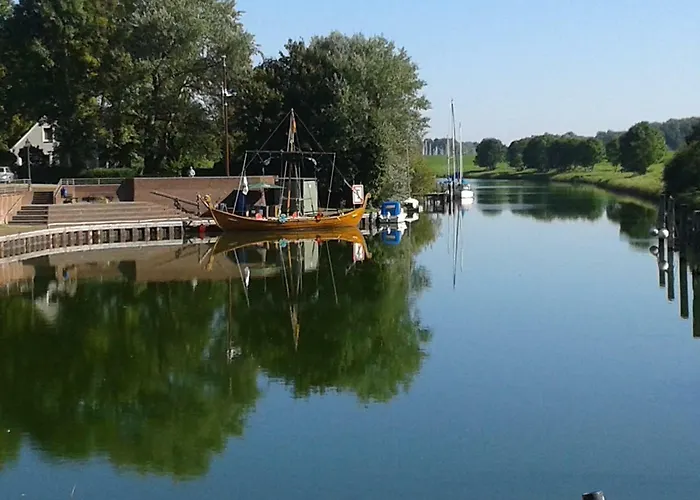 Goldblume Nordsee * Hooksiel