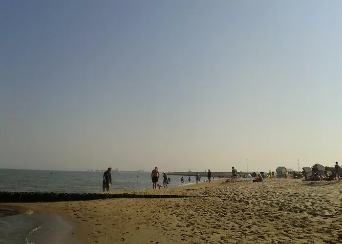 Goldblume Nordsee * Hooksiel